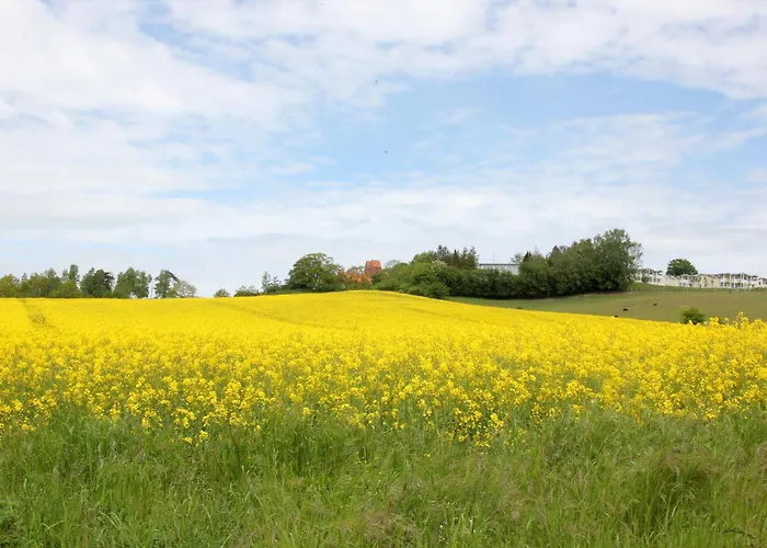 Apartman Mit Meerblick Und Balkon, Gratis Nutzung Vom Ahoi Erlebnisbad Und Sauna In Sellin - Meeresblick 27